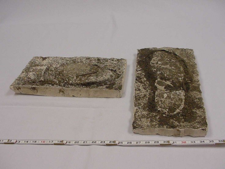 04Rooming House Footprint Impressions.jpg